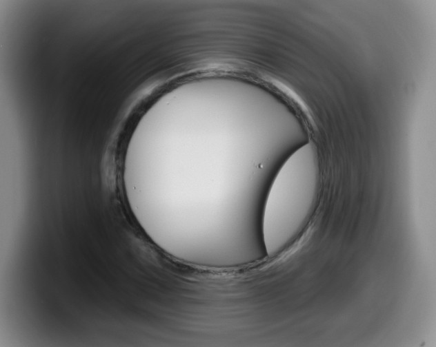 X0000099481067200805090829