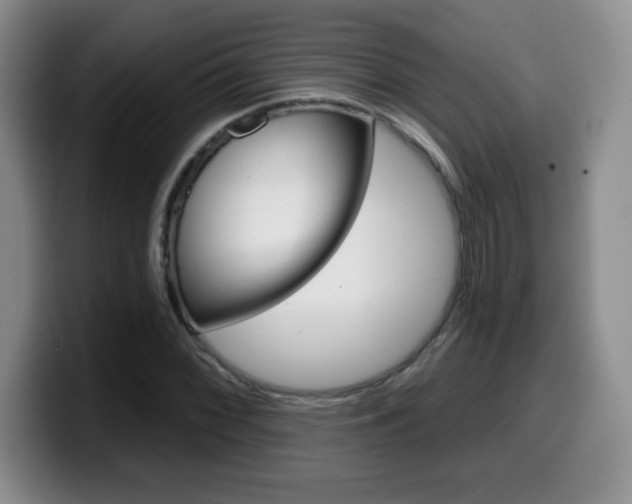 X0000099481068200805090829