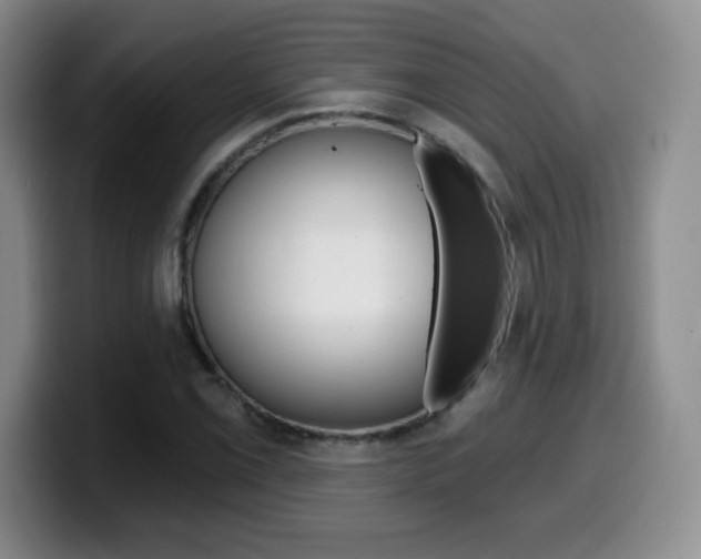 X0000099481069200805090829