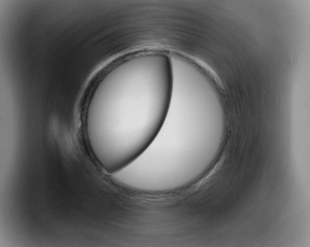 X0000099481070200805090829