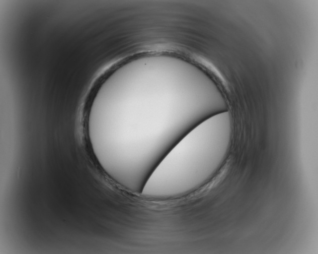 X0000099481071200805090829