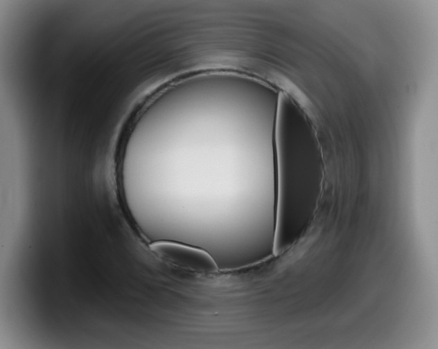 X0000099481072200805090829