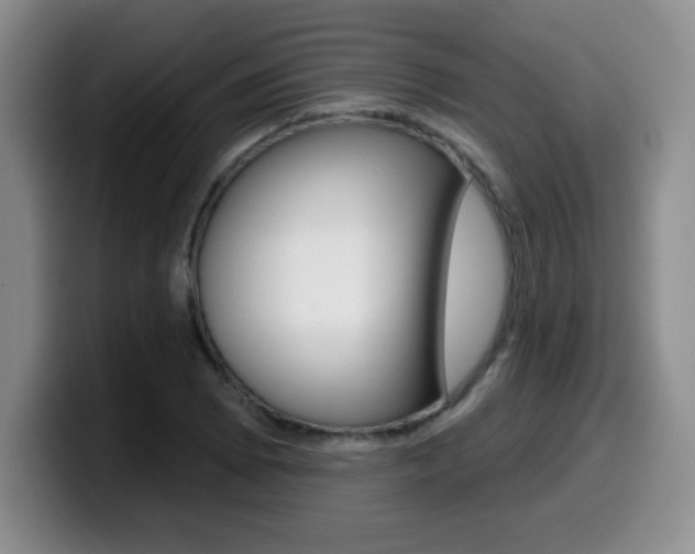 X0000099481073200805090829