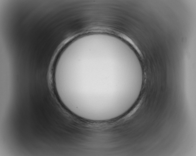X0000099481074200805090829