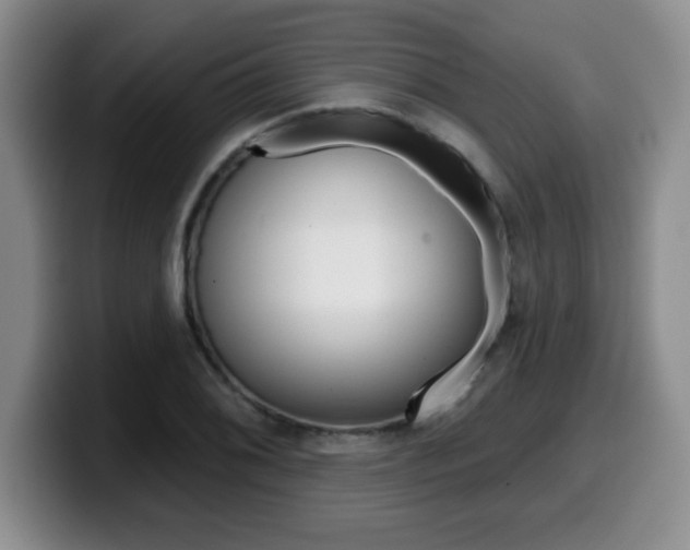 X0000099481076200805090828