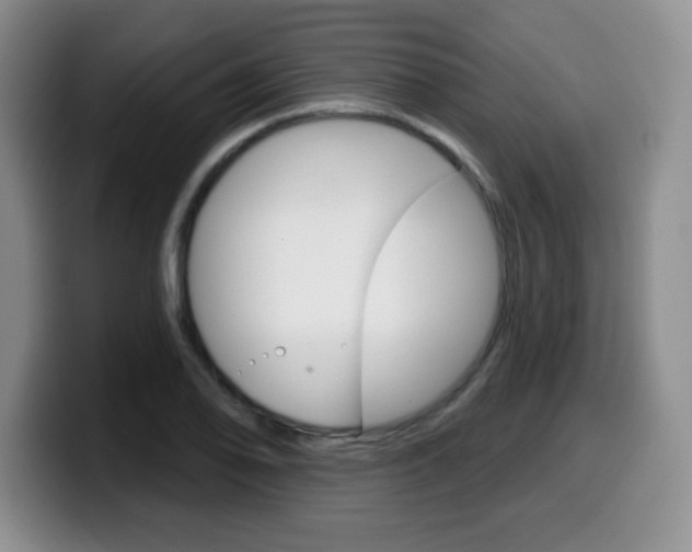 X0000099481078200805090828