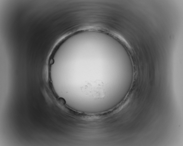 X0000099481079200805090828