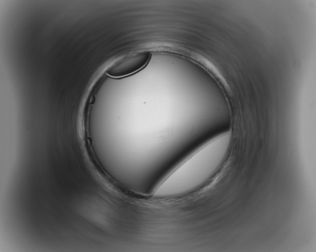 X0000099481082200805090828