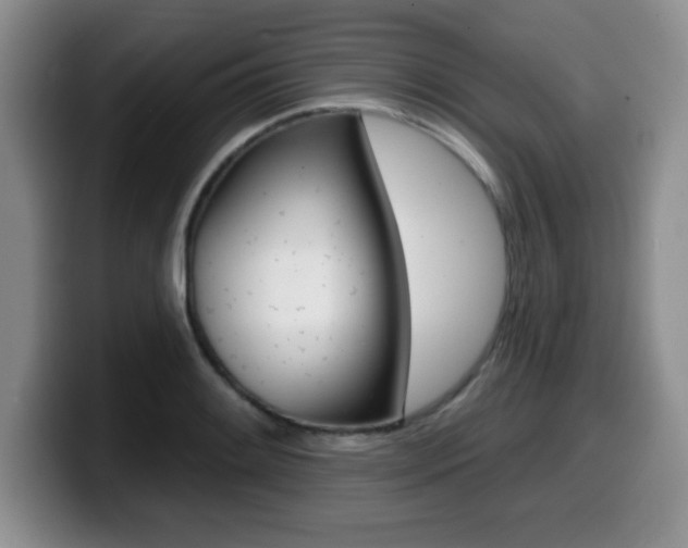 X0000099481084200805090828