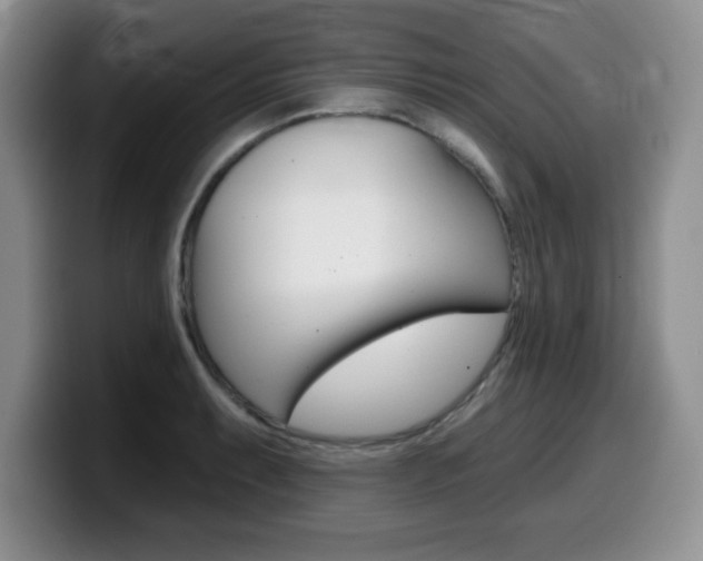 X0000099481087200805090828