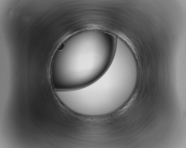 X0000099481089200805090828