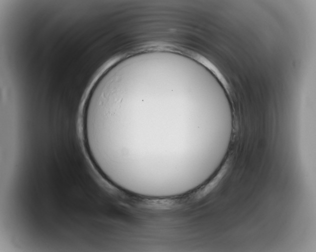X0000099481090200805090828