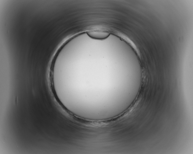 X0000099481091200805090828