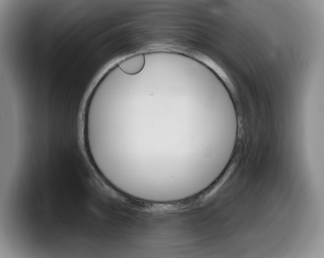 X0000099481094200805090828