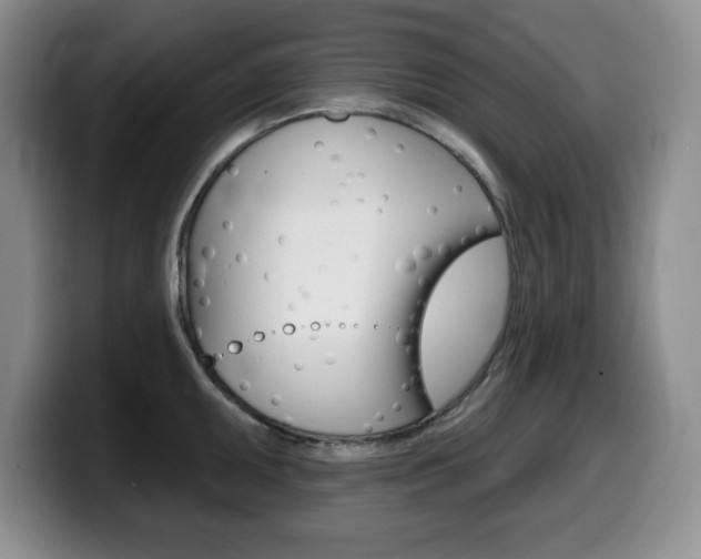 X0000099481095200805090828