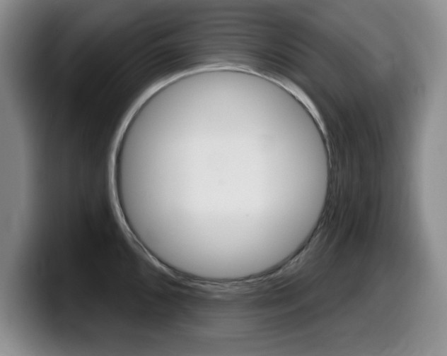 X0000099481096200805090828