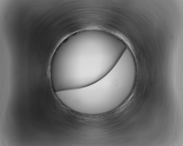 X0000099481097200805090828