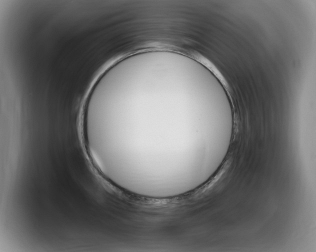 X0000099481098200805090828