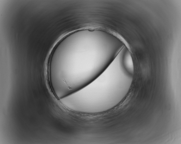 X0000099481099200805090828