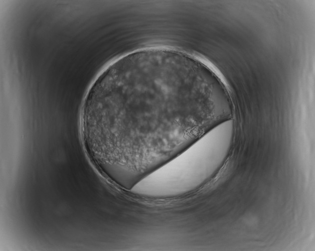 X0000099481101200805090828