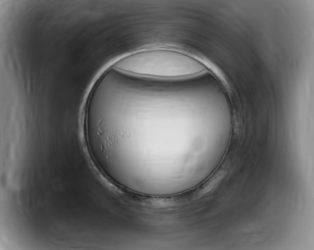 X0000099481102200805090828
