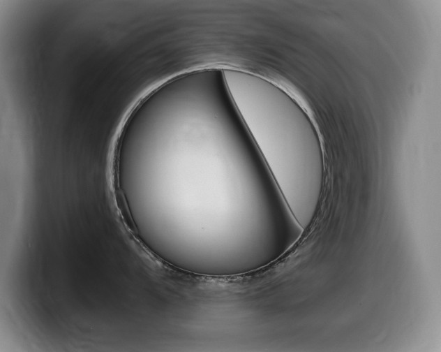 X0000099481104200805090828