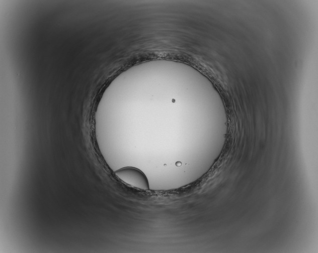 X0000099481105200805090828