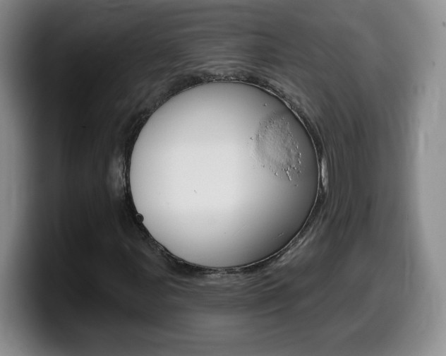 X0000099481107200805090828