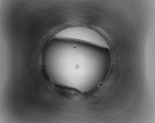 X0000099481110200805090828