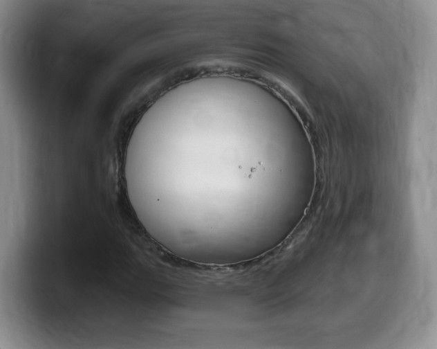 X0000099481111200805090828