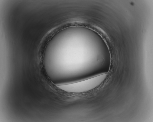 X0000099481112200805090828