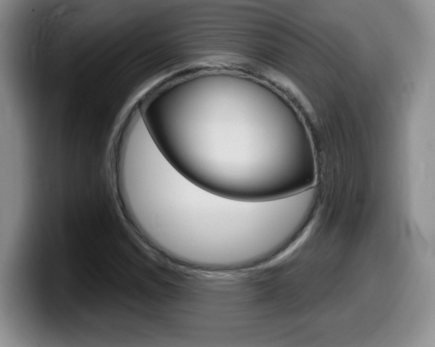 X0000099481114200805090828