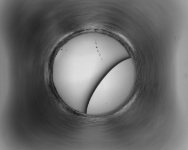 X0000099481117200805090828