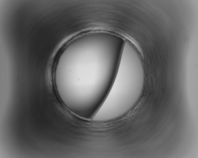 X0000099481120200805090828