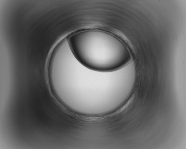 X0000099481122200805090828