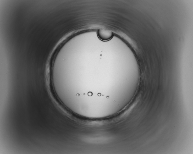 X0000099481126200805090828
