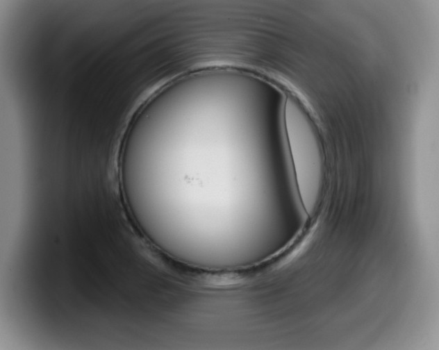 X0000099481129200805090828