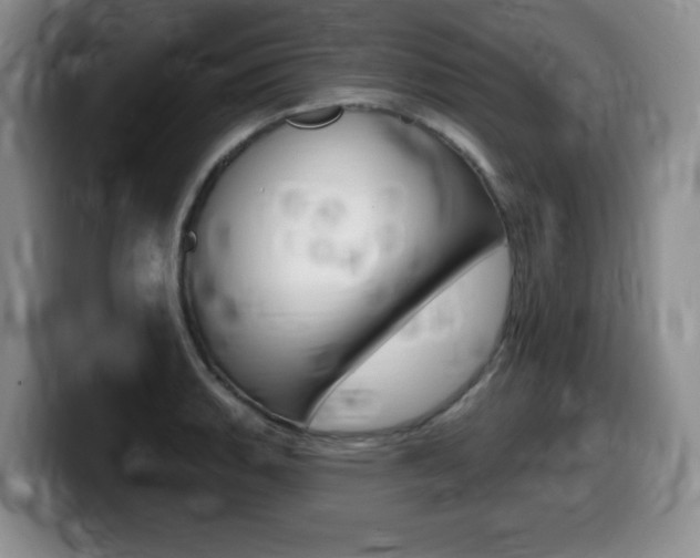 X0000099481135200805090828