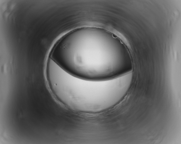 X0000099481136200805090828