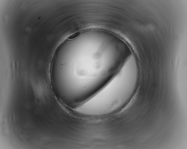 X0000099481137200805090828