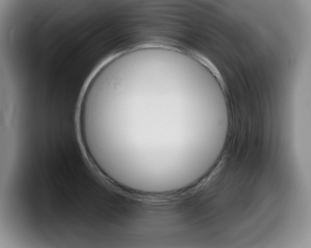 X0000099481138200805090828