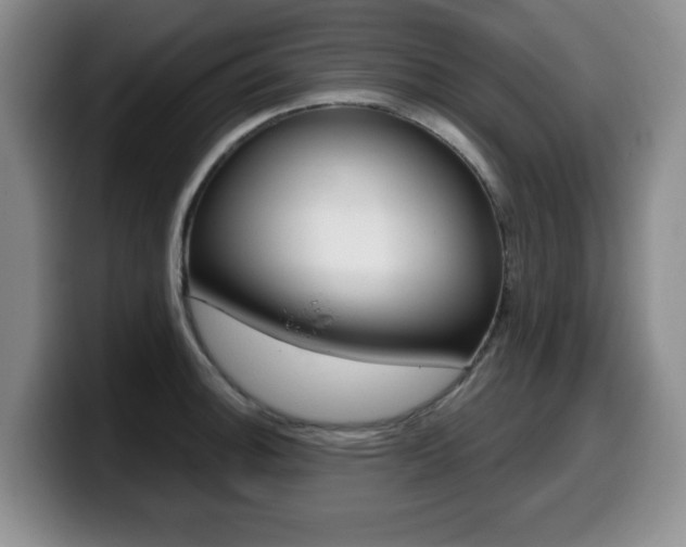 X0000099481140200805090828