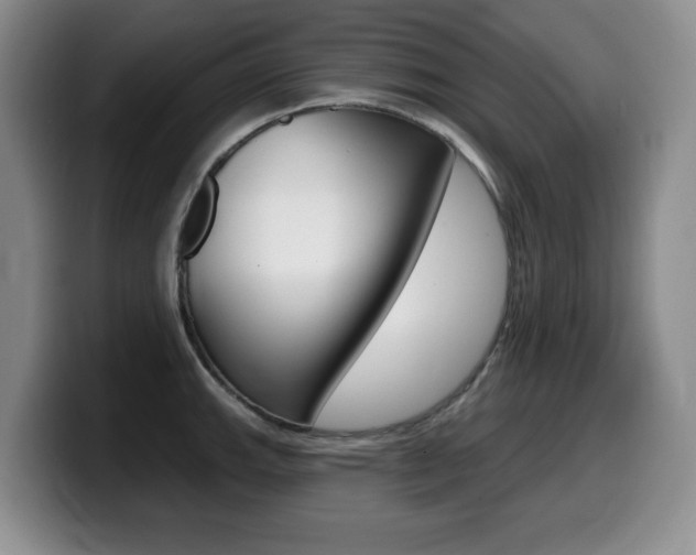 X0000099481143200805090828