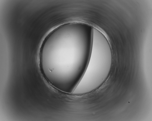 X0000099481144200805090828