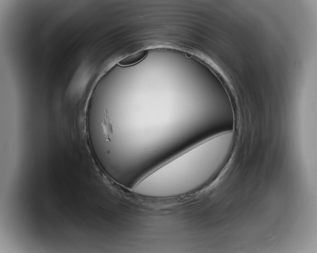 X0000099481145200805090828