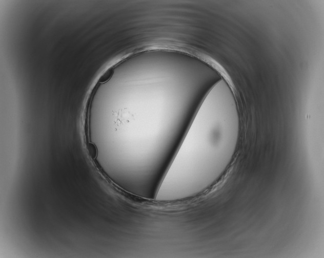 X0000099481146200805090828