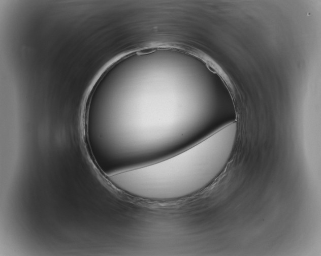 X0000099481148200805090828