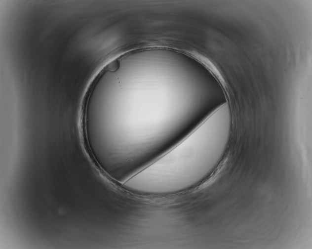 X0000099481149200805090828