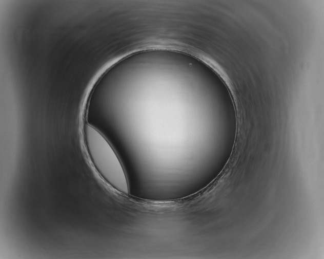 X0000099481152200805090828