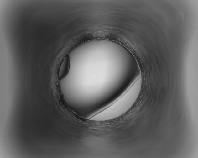 X0000099481153200805090827